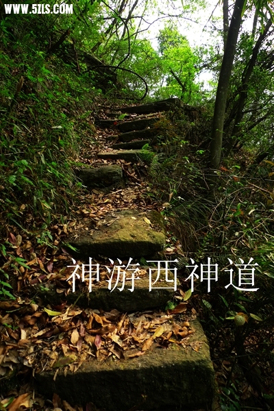 P1230189.jpg