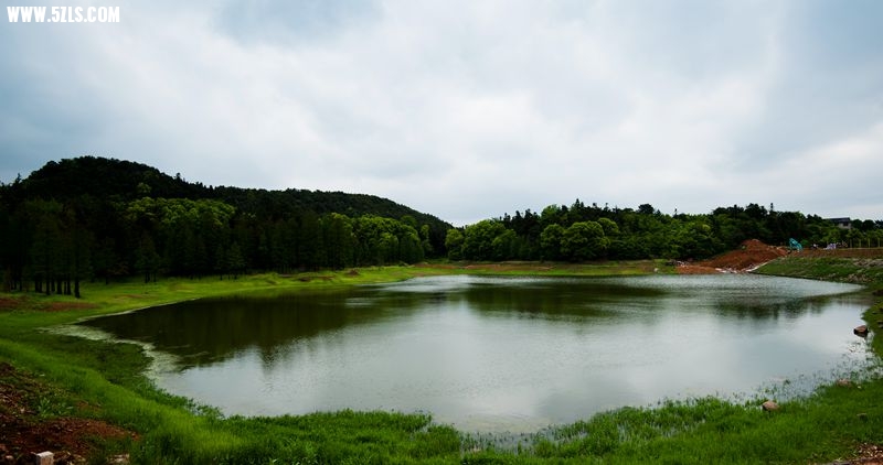 DSC_8512_.jpg