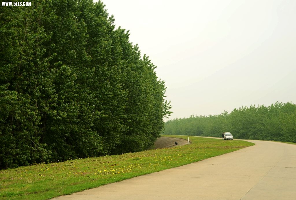 DSC_5268_.jpg