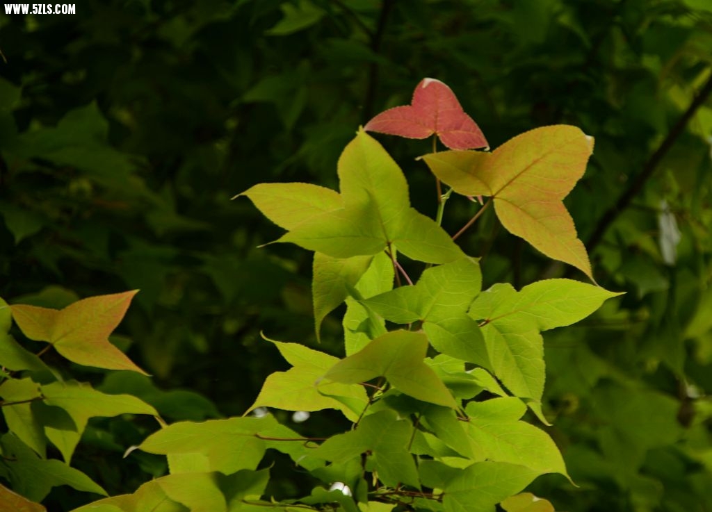 DSC_5397_.jpg