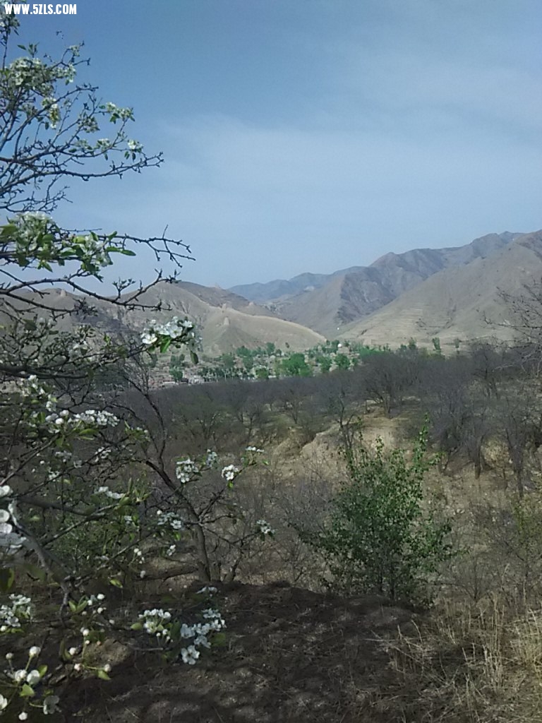 IMG_20140424_085236.jpg