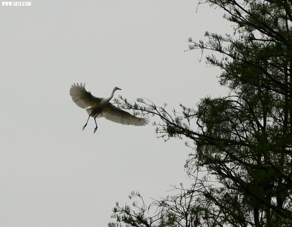 DSC_5637_1_.jpg