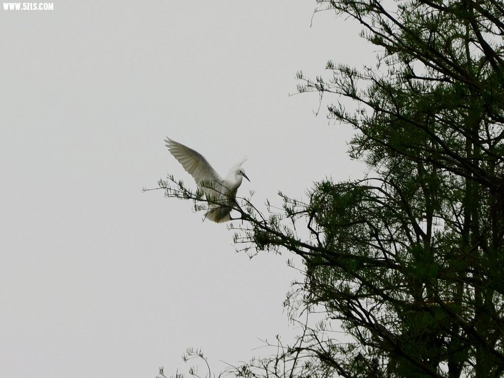 DSC_5639__.jpg