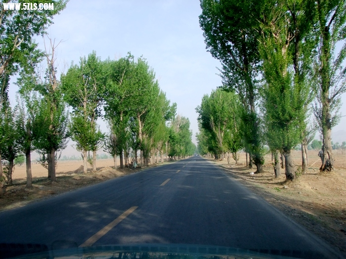 DSCF0451.jpg