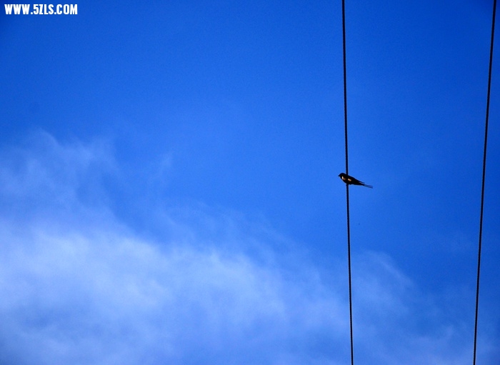 DSC_0717.JPG