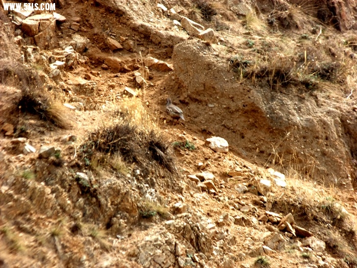 DSCF0623.jpg