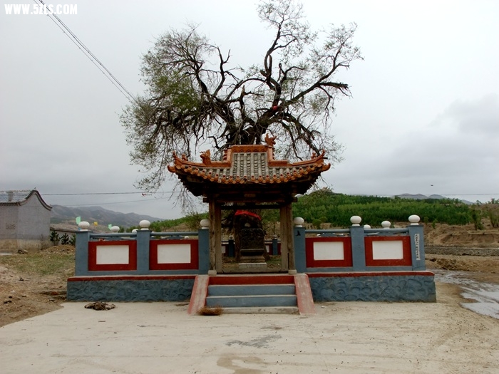 DSCF0846.jpg