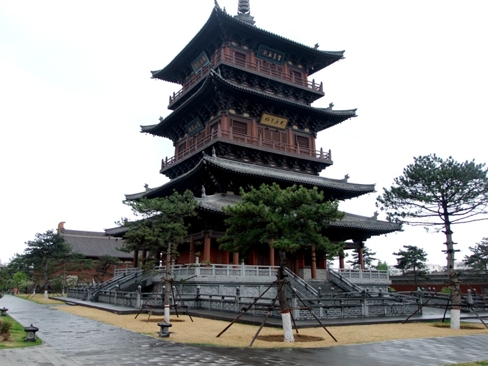 DSCF0981.jpg