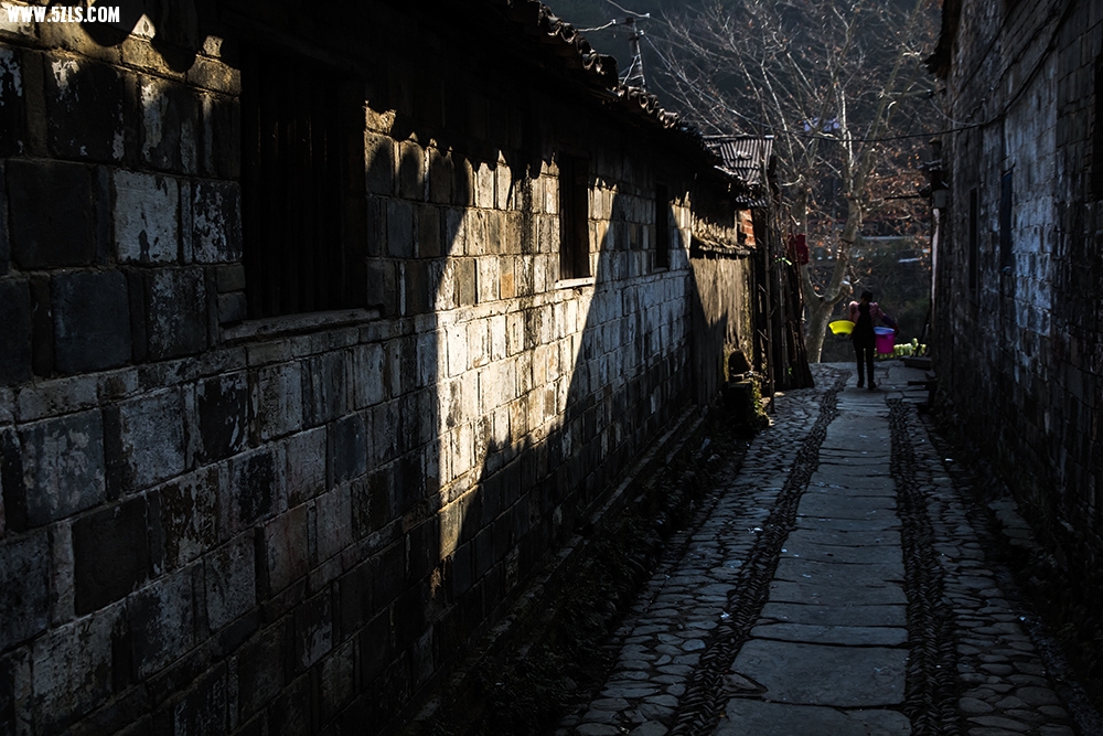_MG_3380.jpg
