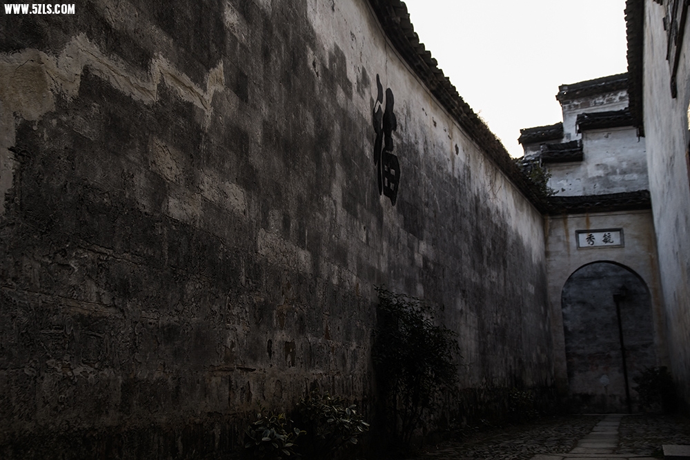 _MG_3465.jpg
