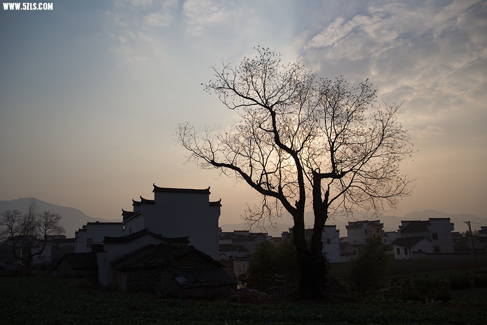 _MG_3630.jpg