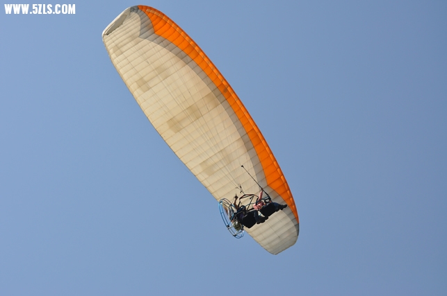 DSC_0102.jpg