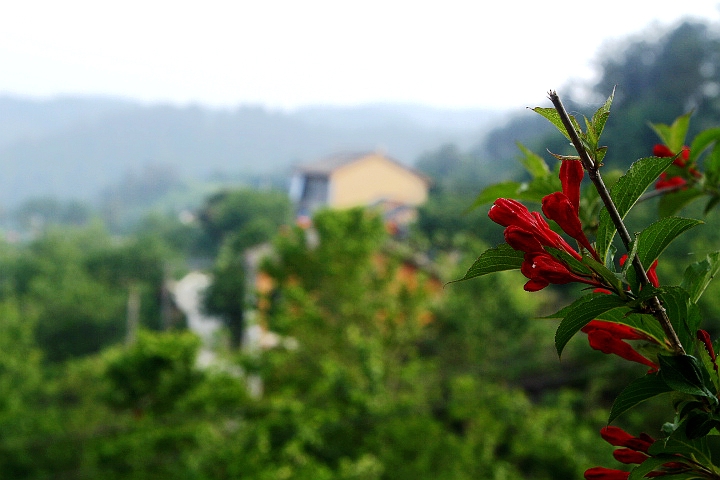 _MG_0431_.jpg
