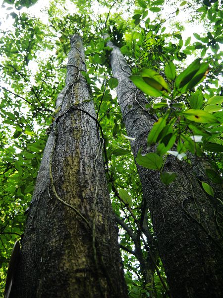P1030527_.jpg