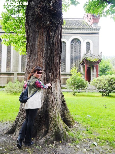 P1030551_.jpg