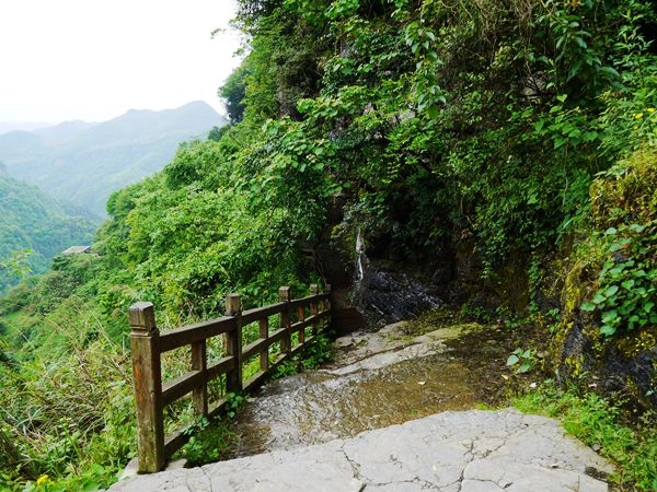 P1030577_.jpg