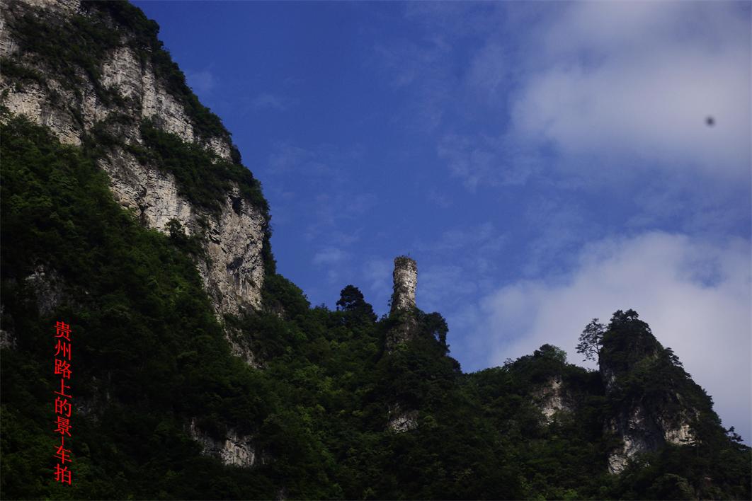 _IGP0993_.JPG