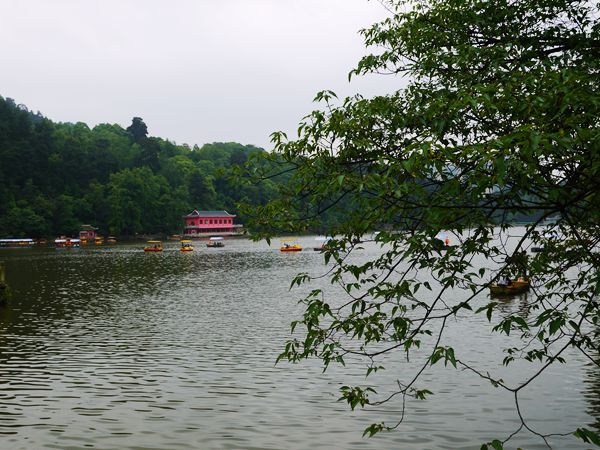 P1030648_.jpg