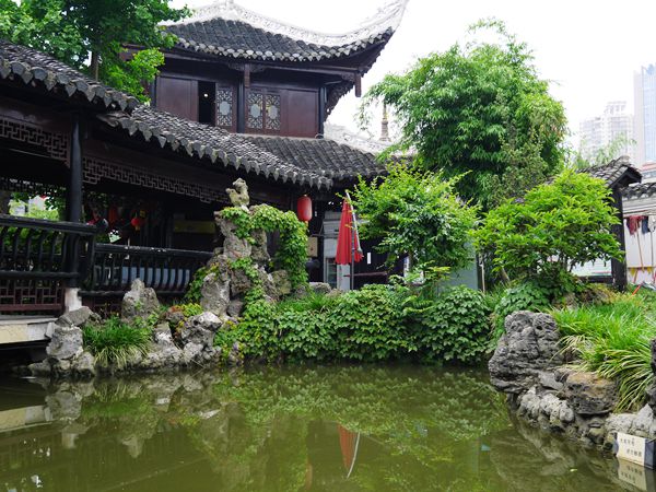 P1030679_.jpg