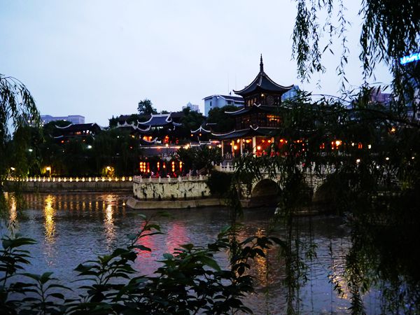 P1030697_.jpg
