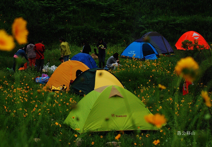 DSC_7566.JPG
