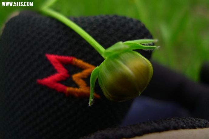 P1230821_.jpg