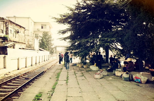 115.jpg