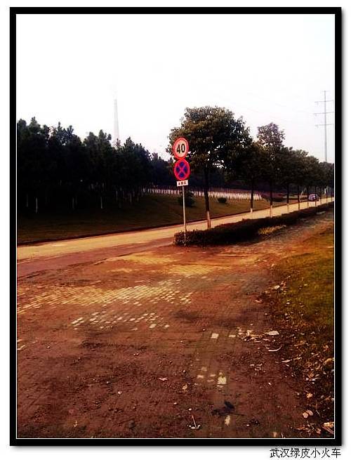 119.jpg