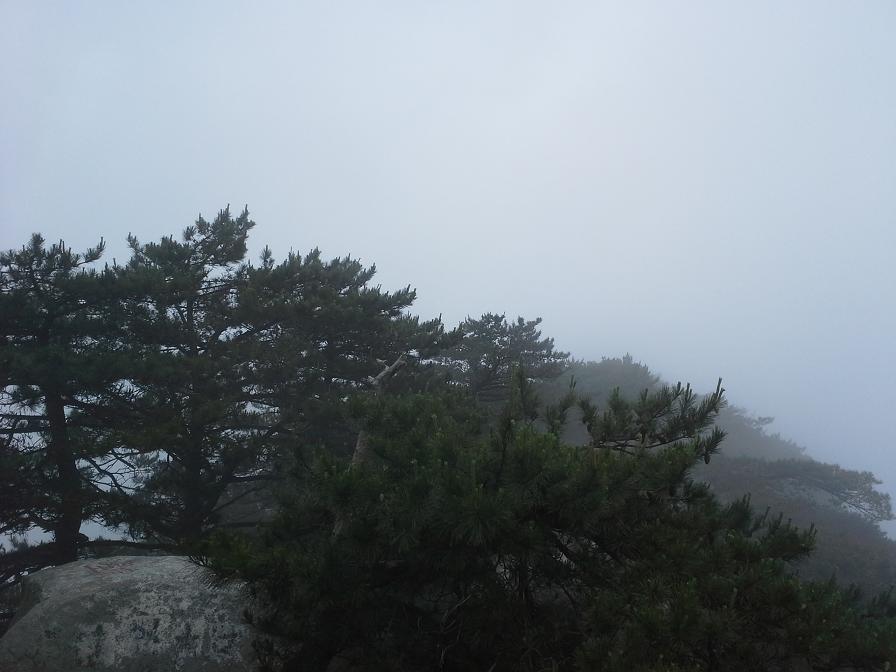 20140601_164142.jpg