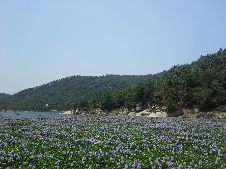 20140602_124523.jpg
