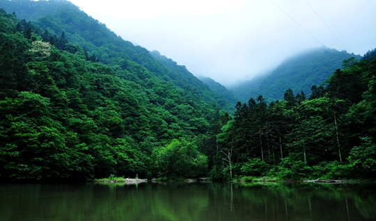DSC_0250.JPG