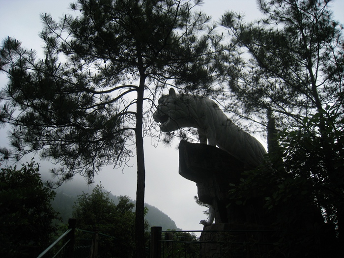 IMG_4417.JPG