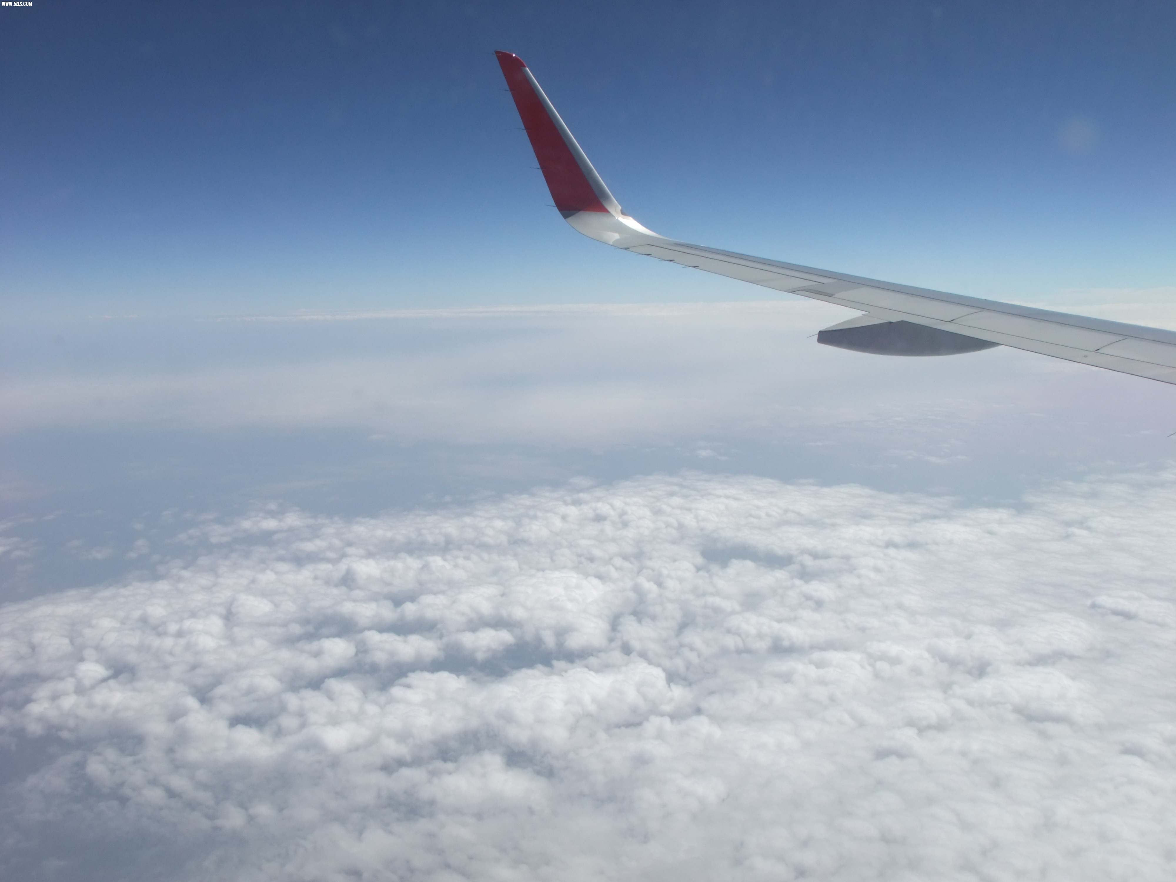 DSCF5496.JPG