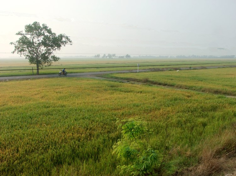 DSCF5922.JPG
