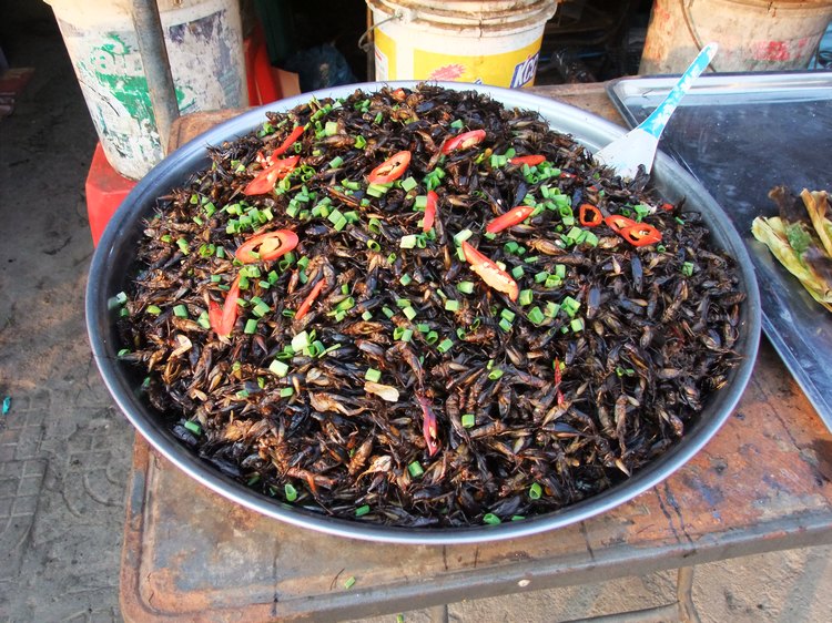DSCF6258.JPG