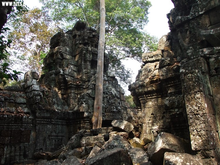 DSCF6810.JPG
