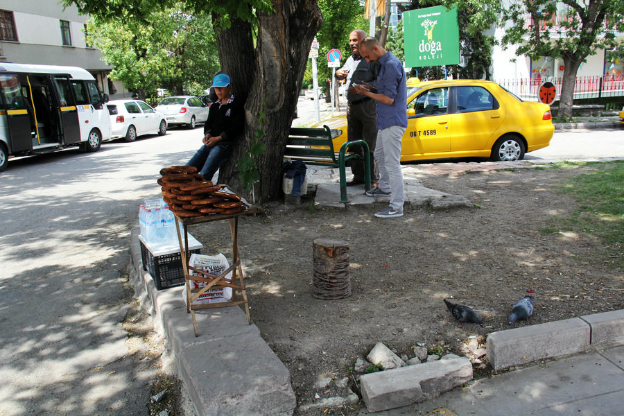 IMG_3770.JPG