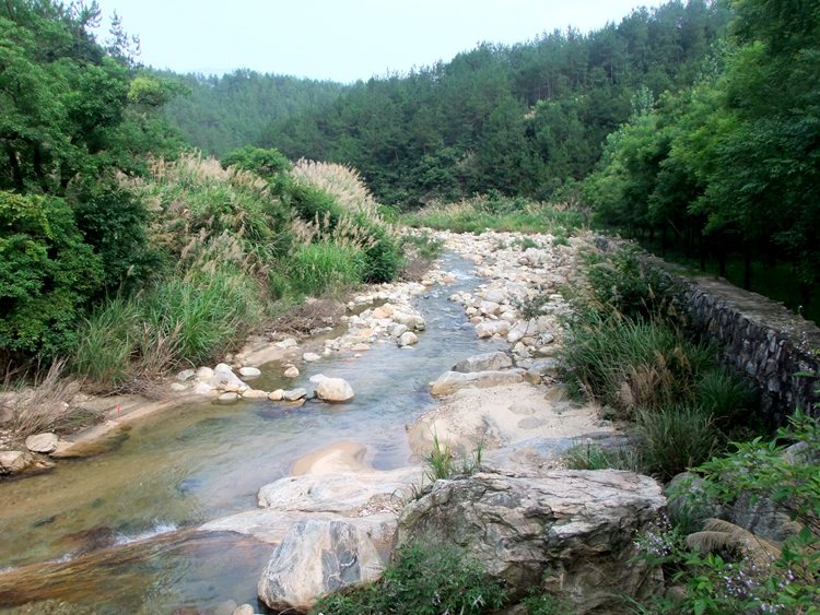 DSCF0124.JPG