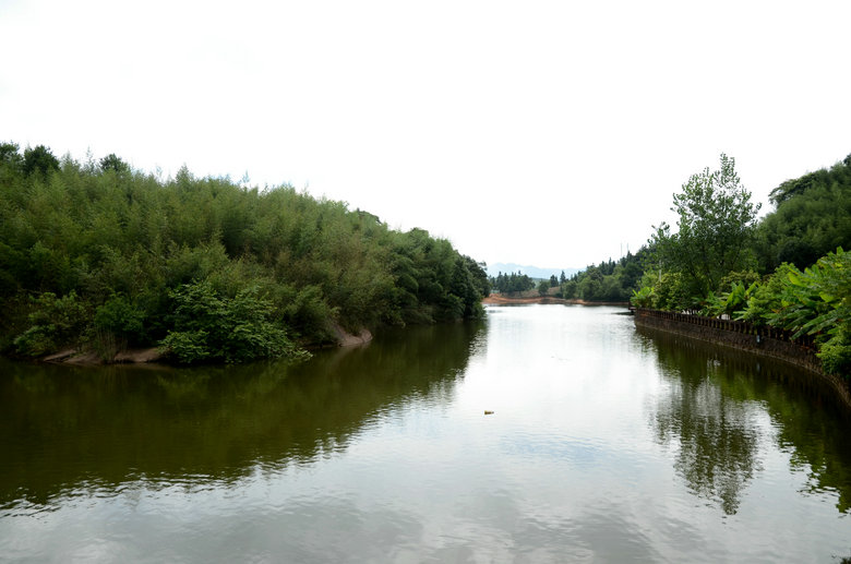 DSC_3771.JPG