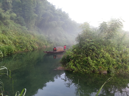 20140720_060754.jpg