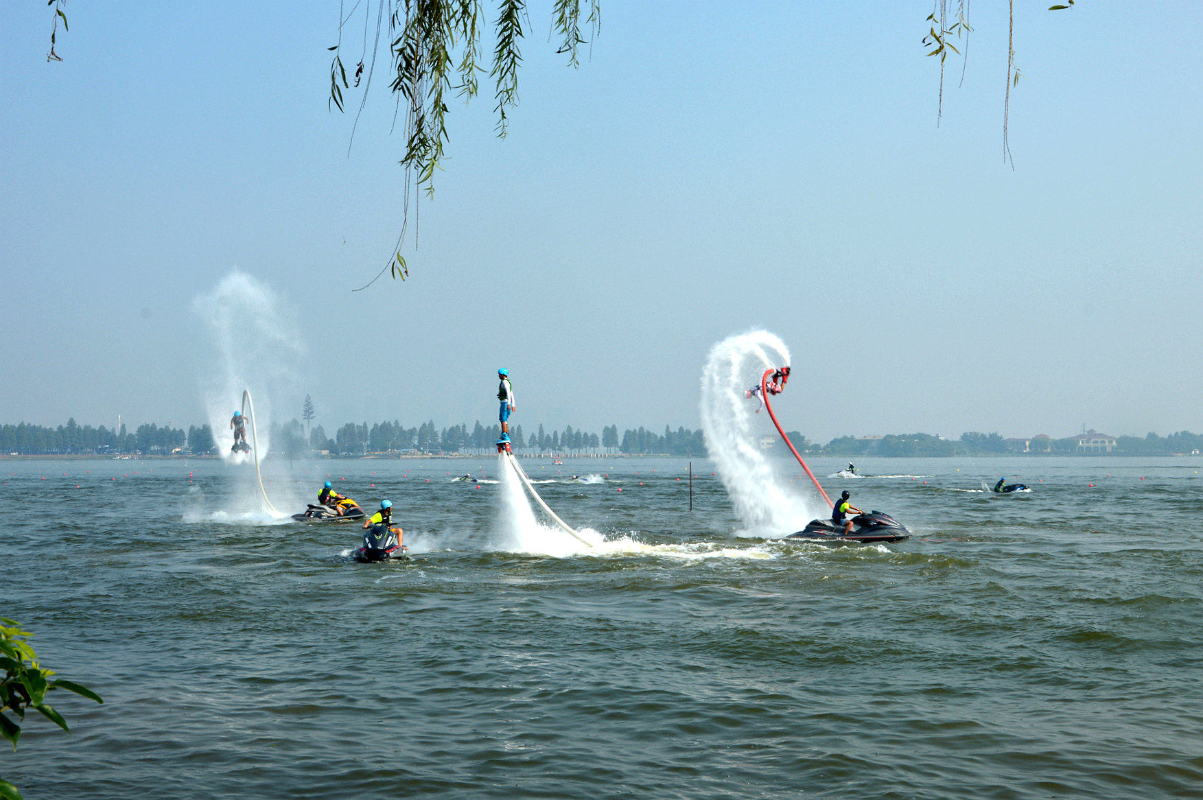 DSC_0269__.jpg