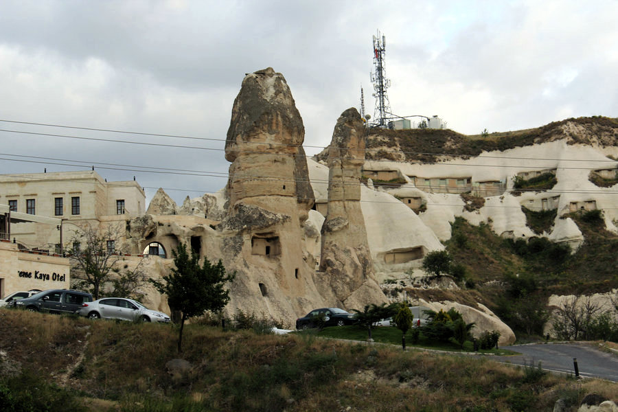 IMG_4733.JPG