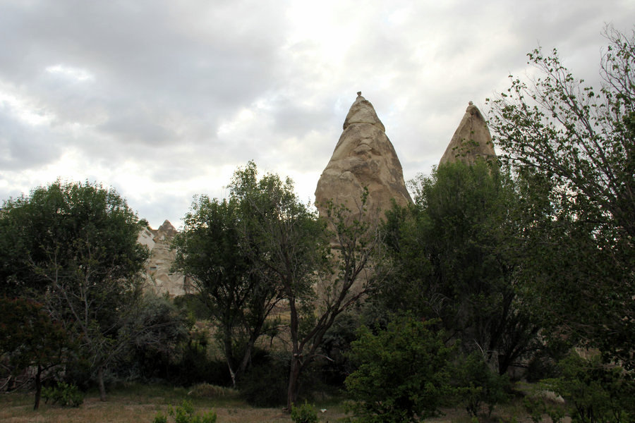 IMG_4748.JPG