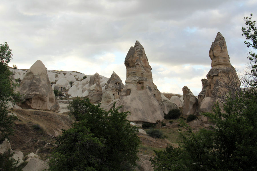 IMG_4750.JPG