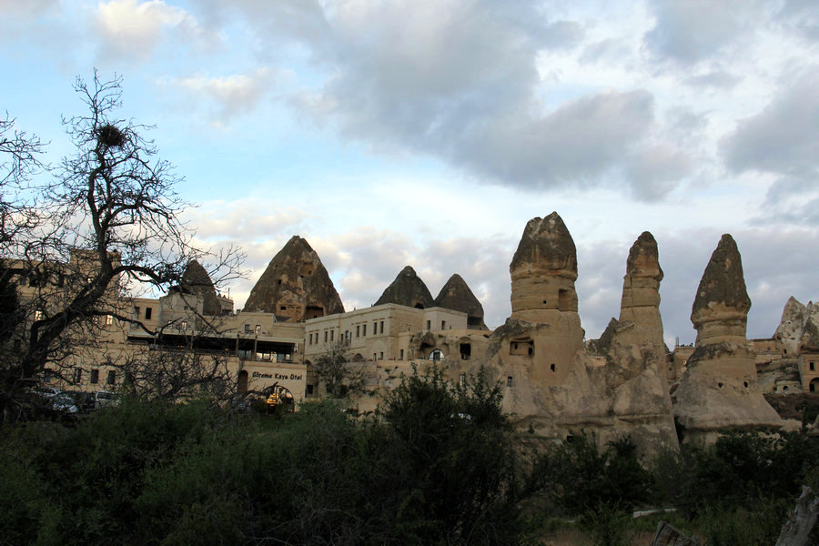 IMG_4752.JPG