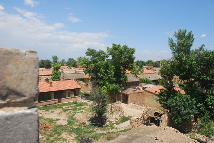 DSC_9931.jpg