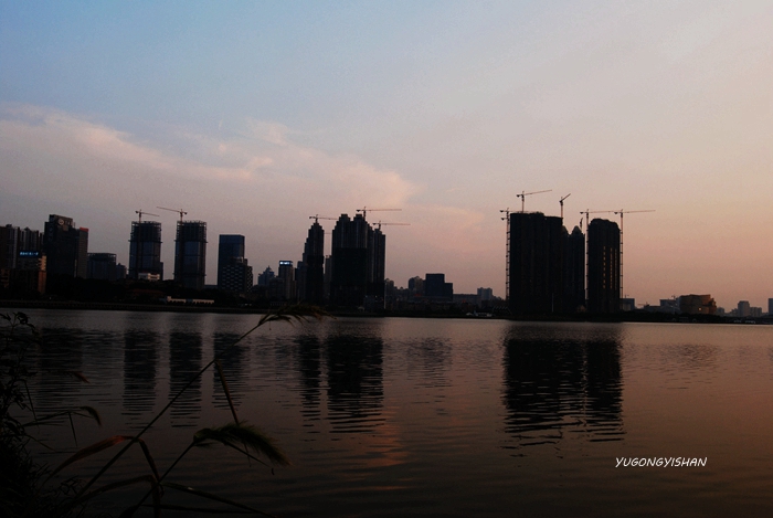 DSC_2549.JPG