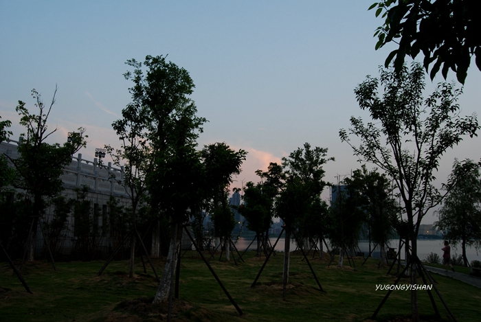 DSC_2578.JPG
