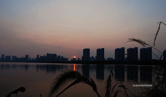 DSC_2558.JPG