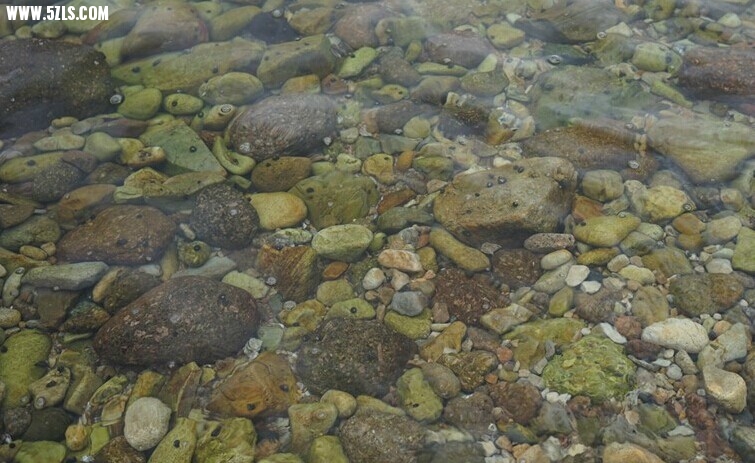 QQͼƬ20140806191716.jpg